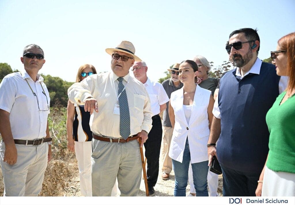 Madliena Woodland Gets Tree Protection Status, Raising Development Hurdles