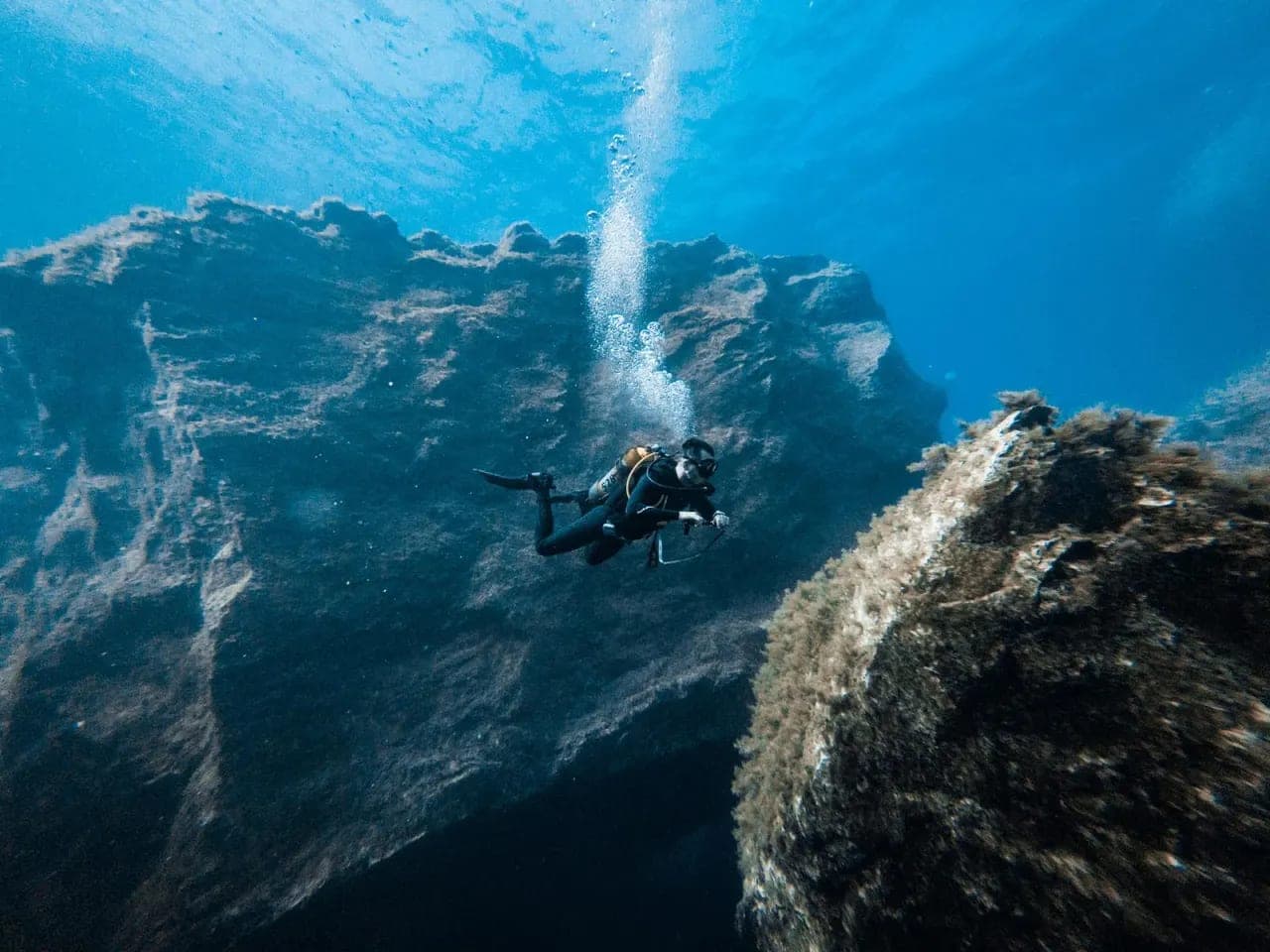 MTA channels €3,000 diving award to marine conservation NGOs